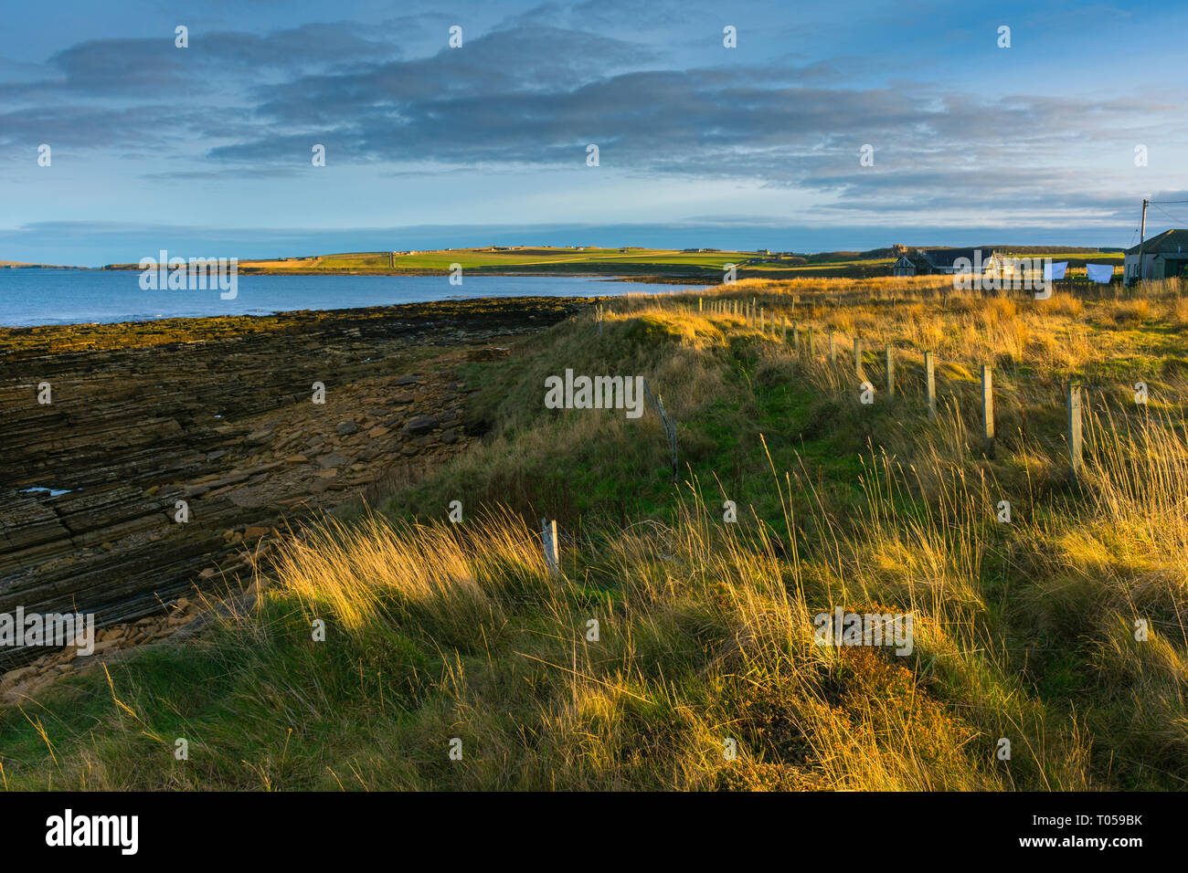 The coast at Scarfskerry, Caithness, Scotland, UK, Europe, EU, EEC Stock Photo