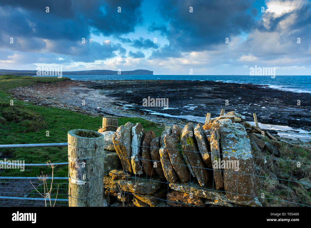 Head from near Scarfskerry, Caithness, Scotland, UK Stock Photo
