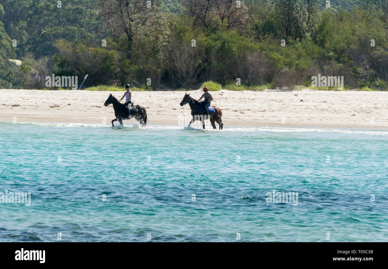 Horses on the beach at Huskisson, Jervis Bay, New South Wales, Australia Stock Photo