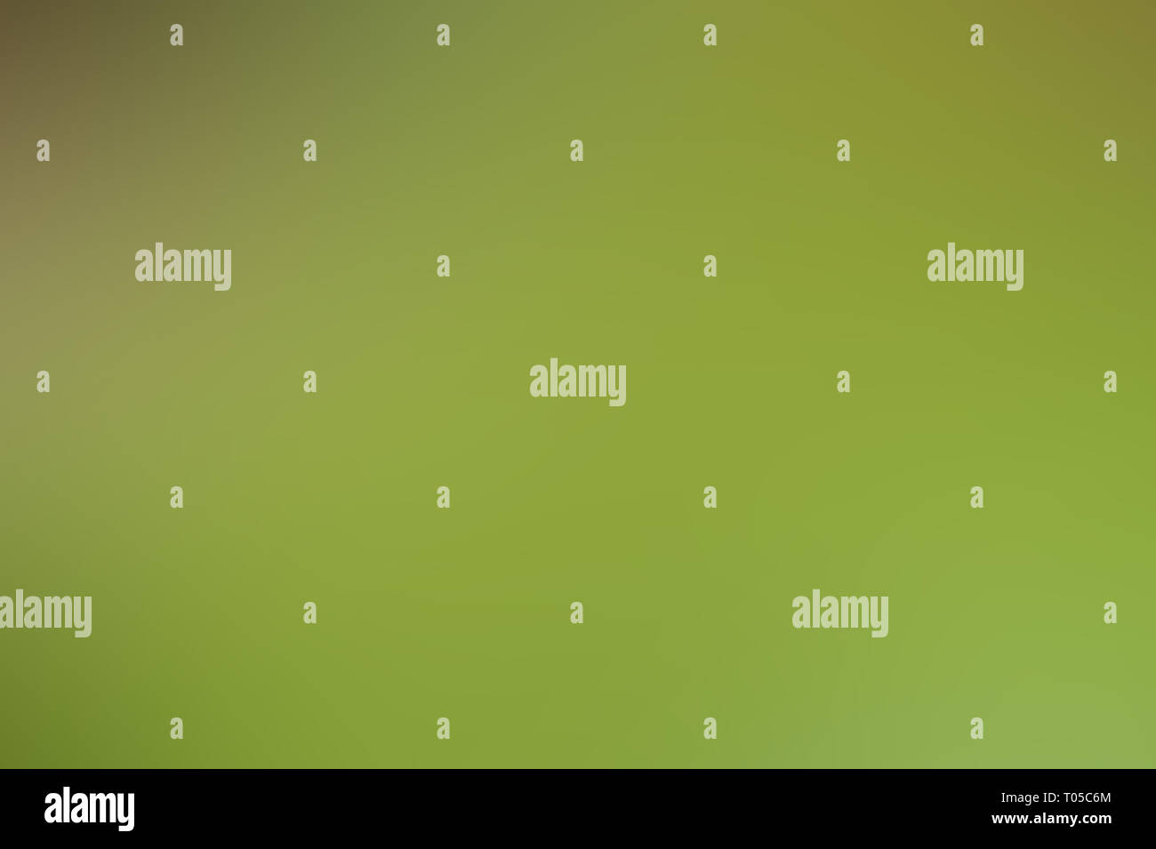 Light abstract background. green gradient blurred background ...