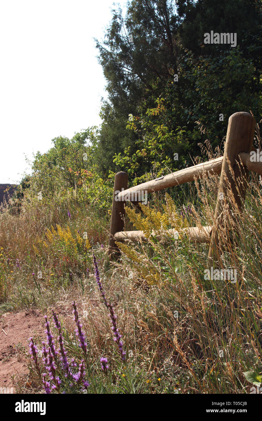 Wildflowers by wood fence hi-res stock photography and images - Alamy