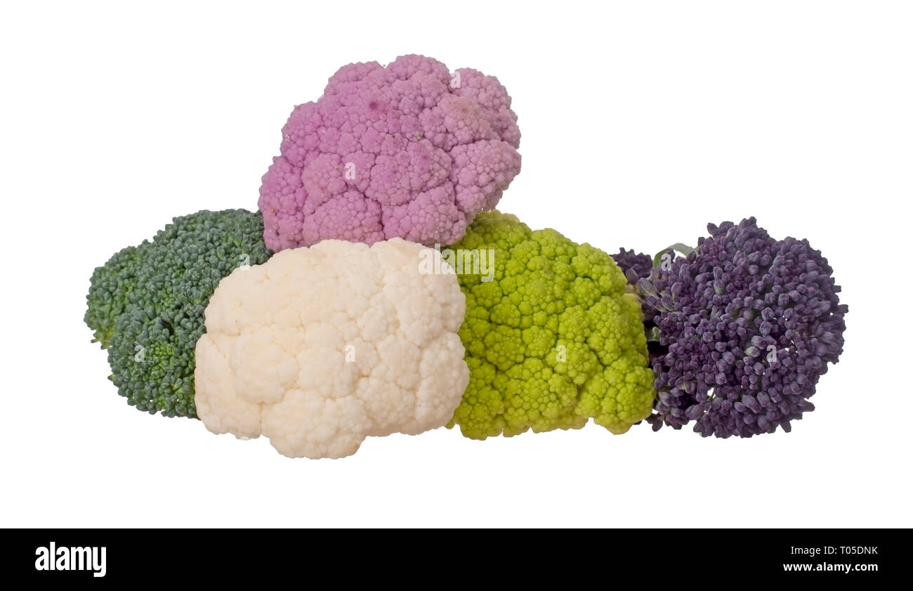 Colourful vegetables, isolated on white. Assorted raw cauliflower, broccoli and purple sprouting florets. Healthy assortment. Stock Photo