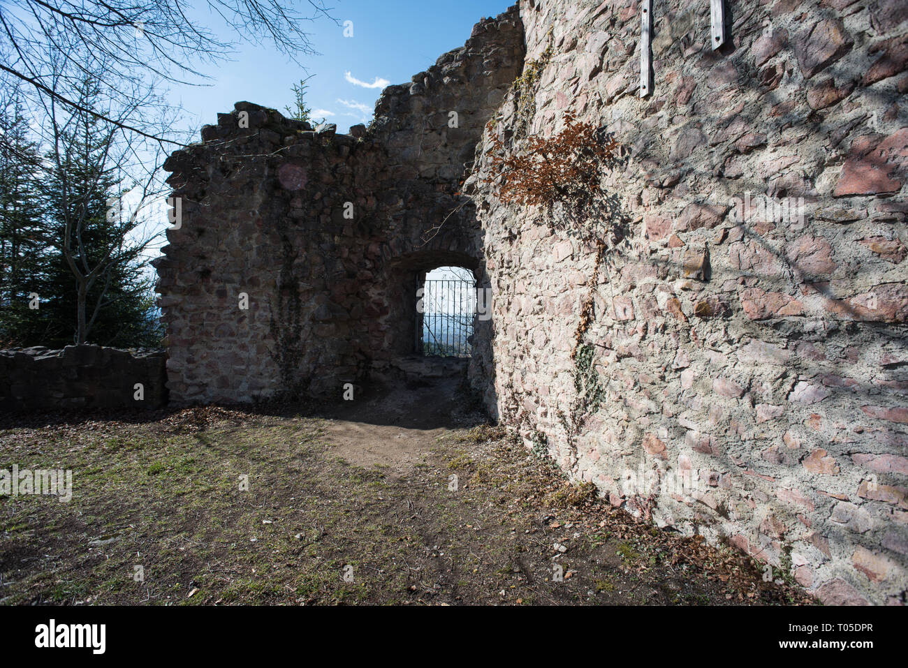 this is the ruin sausenburg in southern black forest germany on top of ...