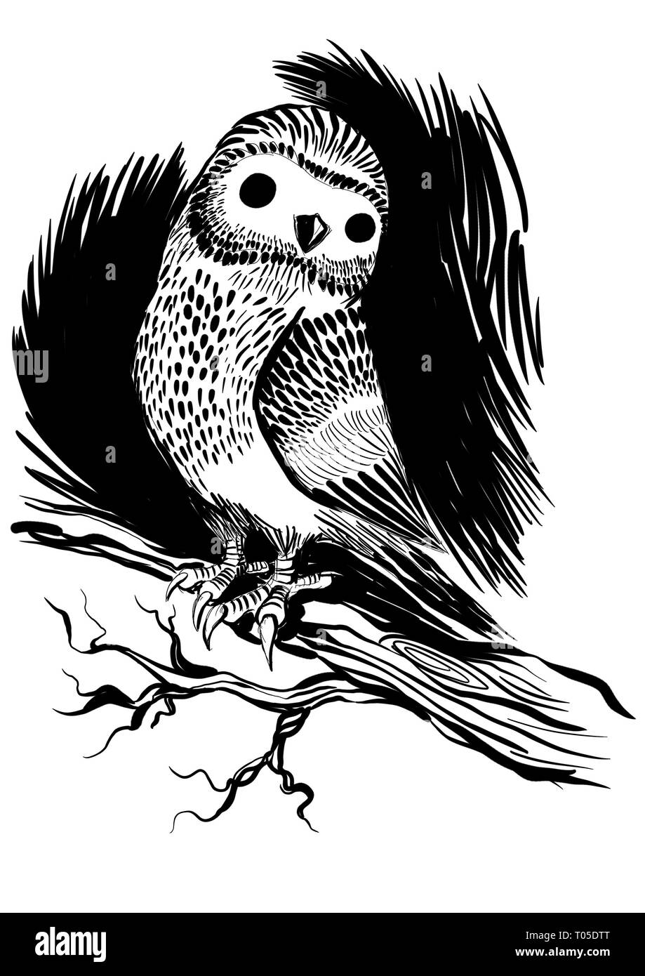 Hand drawn watercolor bird Black and White Stock Photos & Images - Alamy