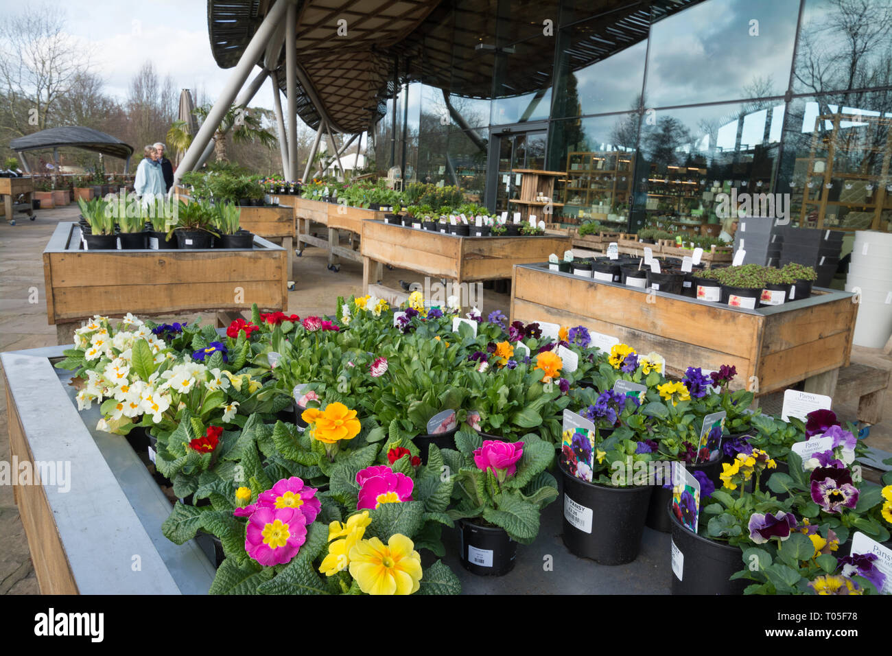Flowers and plants for sale outside the Savill Building at Savill