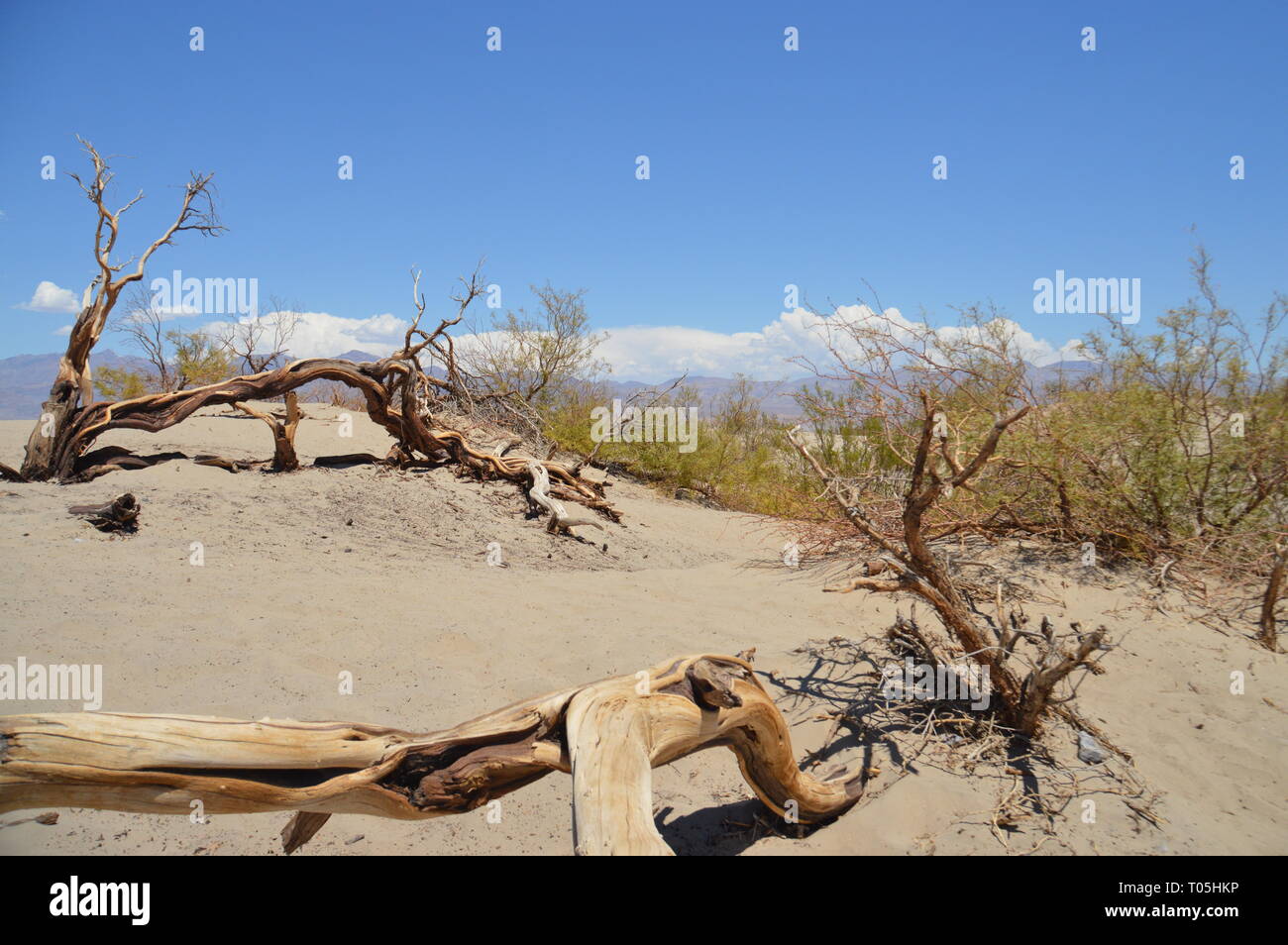 Death Valley Tagesausflug mit mehreren Stopps und atemberaubenden Aussichten -   von Jana Reutin Stock Photo
