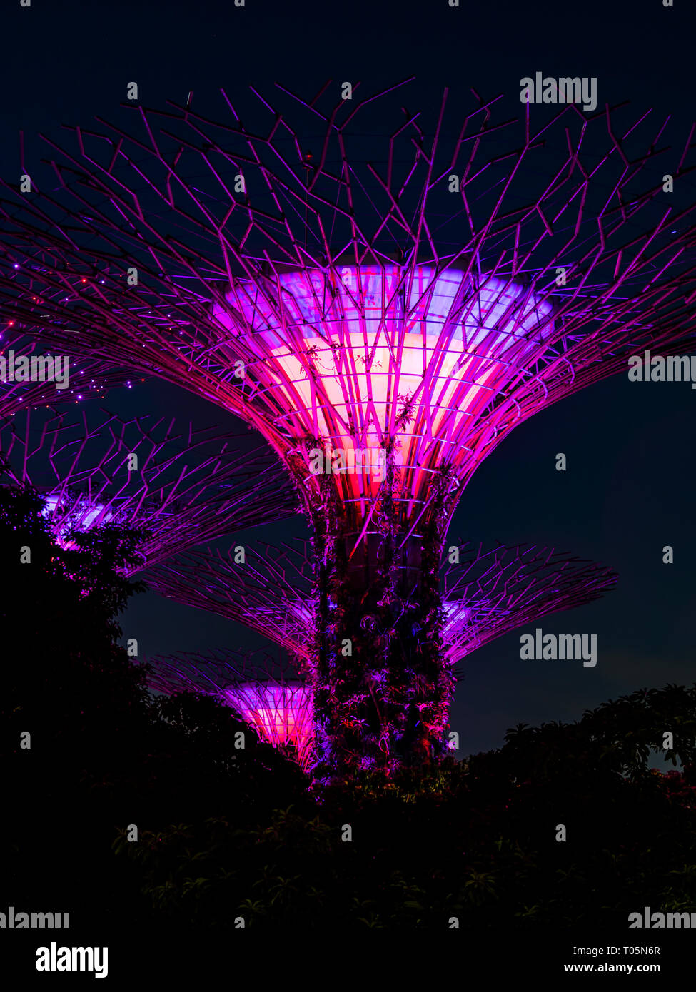 SINGAPORE CITY, SINGAPORE FEBRUARY 03, 2019 Gardens by the bay in