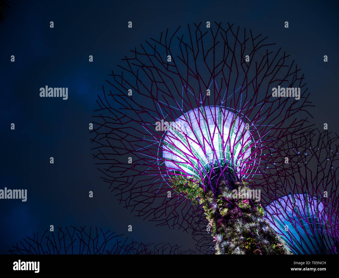 SINGAPORE CITY, SINGAPORE FEBRUARY 03, 2019 Gardens by the bay in