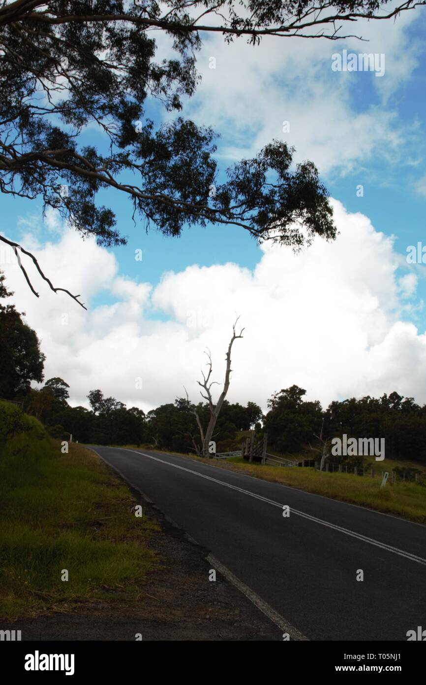 Snapshot out of the car somewhere in the Australian outback Stock Photo