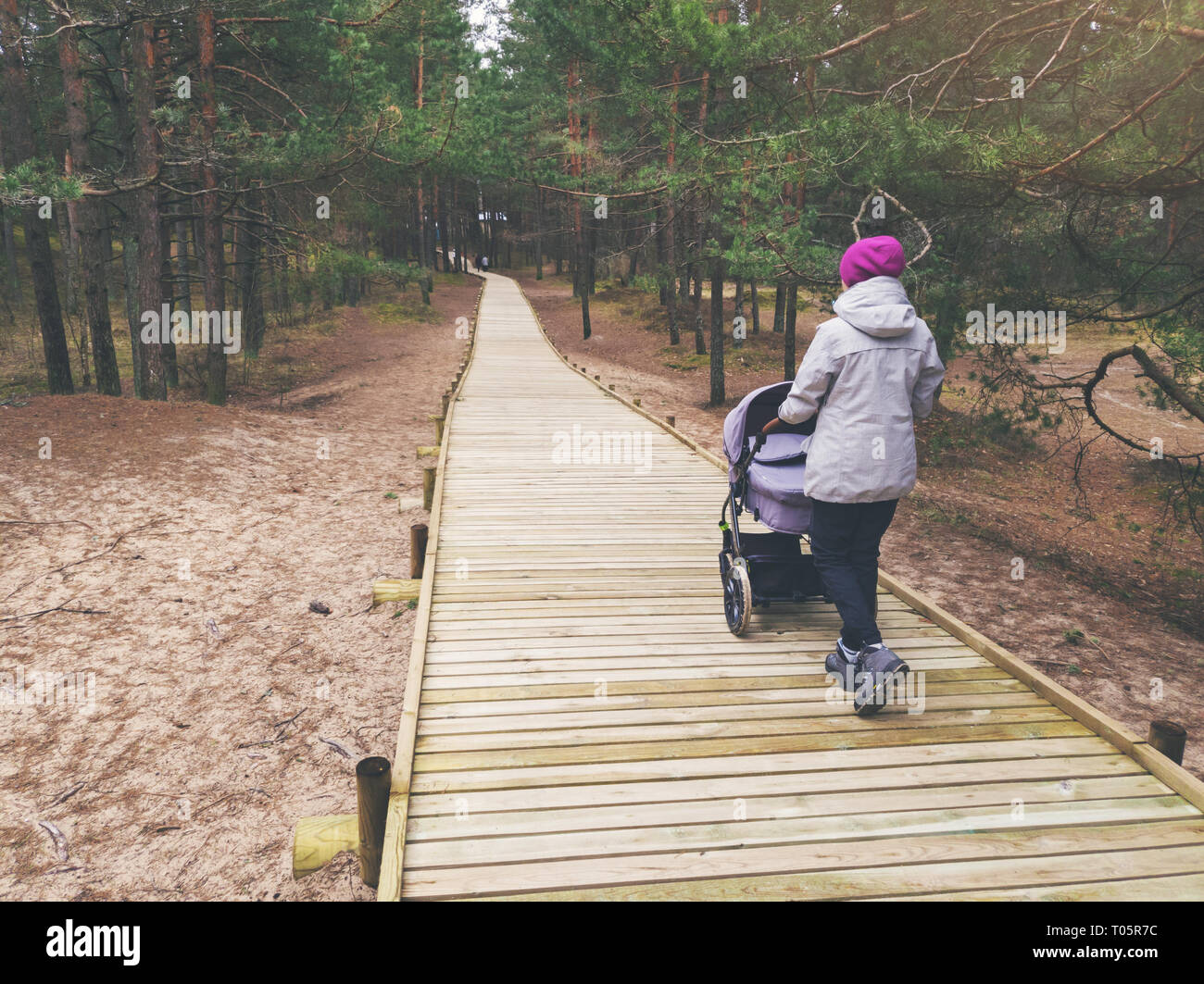 woman with stroller walking on wooden pedestrian path in forest Stock Photo