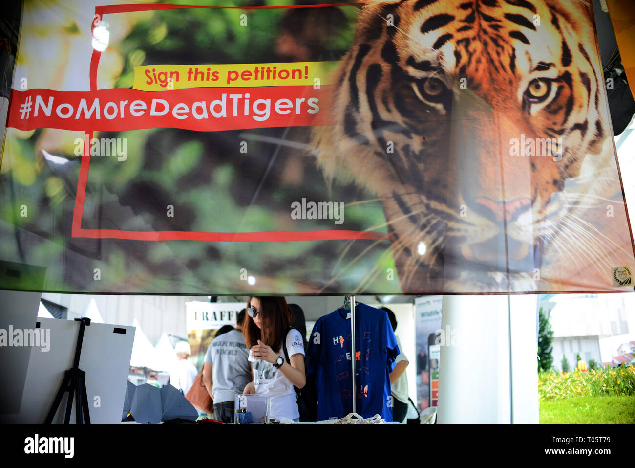 (190317) -- KUALA LUMPUR, March 17, 2019 (Xinhua) -- A poster calling for the protection for tigers is seen during the Save Our Malayan Tiger campaign, as part of events to mark the International World Wildlife Day, in Kuala Lumpur, Malaysia, March 17, 2019. Malaysia's government announced the launching of a campaign on Sunday to provide greater protection for the country's tiger amid an alarming increase of poaching. The Malayan tiger, a subspecies of the big cat lives in Southern Thailand and Malaysia, had seen its numbers dwindle to an estimated 250 in the wild in Malaysia due to poaching Stock Photo
