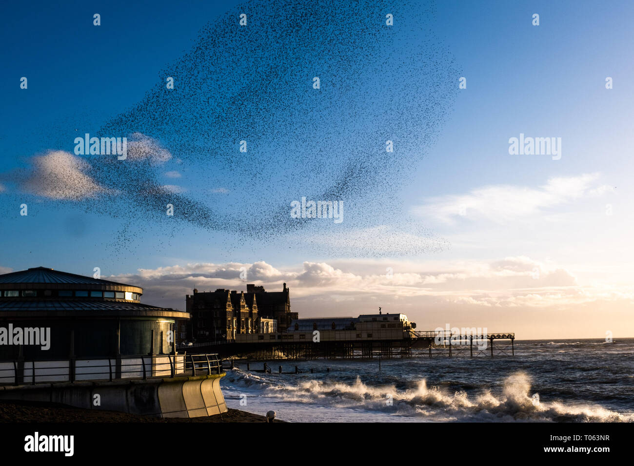 Aberystwyth, UK. 17th Mar, 2019. Tens of thousands of starlings perform their nightly balletic murmurations in the sky above Aberystwyth as the day draws to an end. The migratory birds are coming to the end of their winter sojourn and will soon fly off to return to their breeding grounds in Scandinavia for the summer. Aberystwythis one of the few urban roosts in the country and draws people from all over the UK to witness the spectacular nightly displays between October and March.   Credit: keith morris/Alamy Live News Stock Photo
