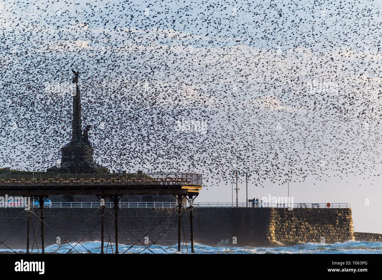 Aberystwyth, UK. 17th Mar, 2019. Tens of thousands of starlings perform their nightly balletic murmurations in the sky around Aberystwyth's distinctive war memorial  as the day draws to an end. The migratory birds are coming to the end of their winter sojourn and will soon fly off to return to their breeding grounds in Scandinavia for the summer. Aberystwythis one of the few urban roosts in the country and draws people from all over the UK to witness the spectacular nightly displays between October and March.   Credit: keith morris/Alamy Live News Stock Photo