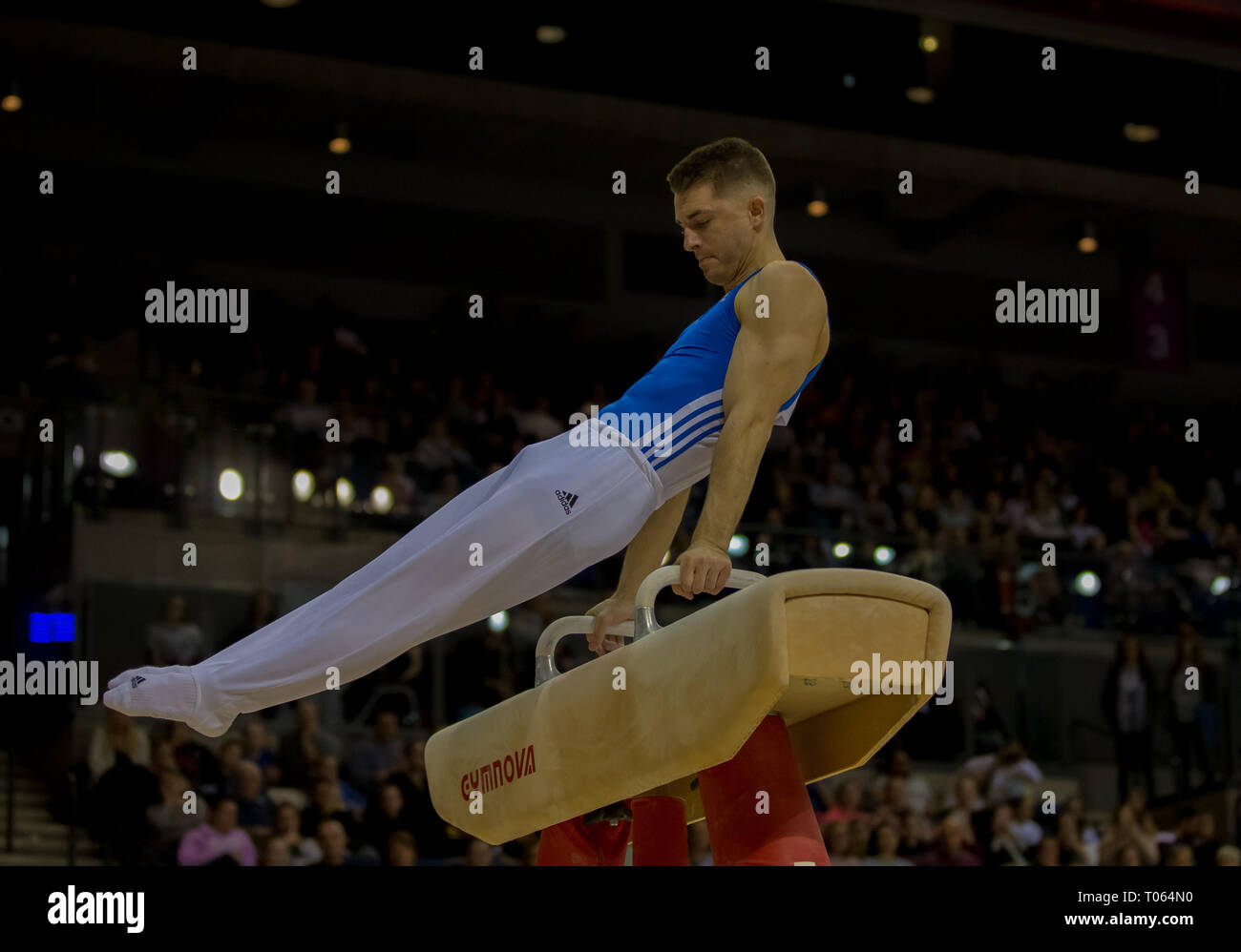 Liverpool, UK. 17th Mar, 2019.  Gymnastics British Championships day 4; WHITLOCK MBE Max, South Essex Gymnastics Club Men's Artistic Masters Pommel Final Credit: Action Plus Sports Images/Alamy Live News Stock Photo
