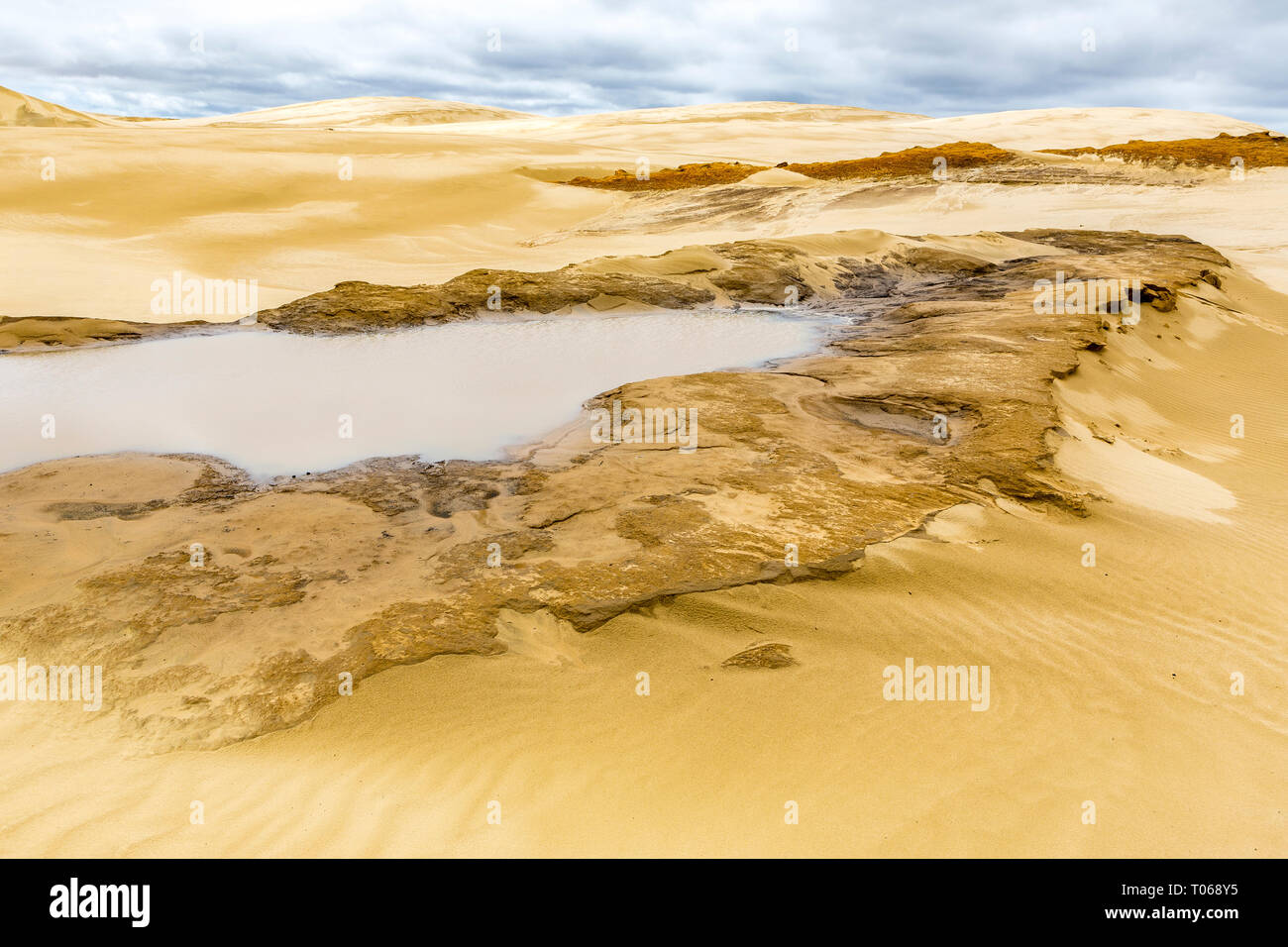 Sand Sculpture and water pond at Giant sand dunes, Te Paki, Northland, North Island, New Zealand Stock Photo