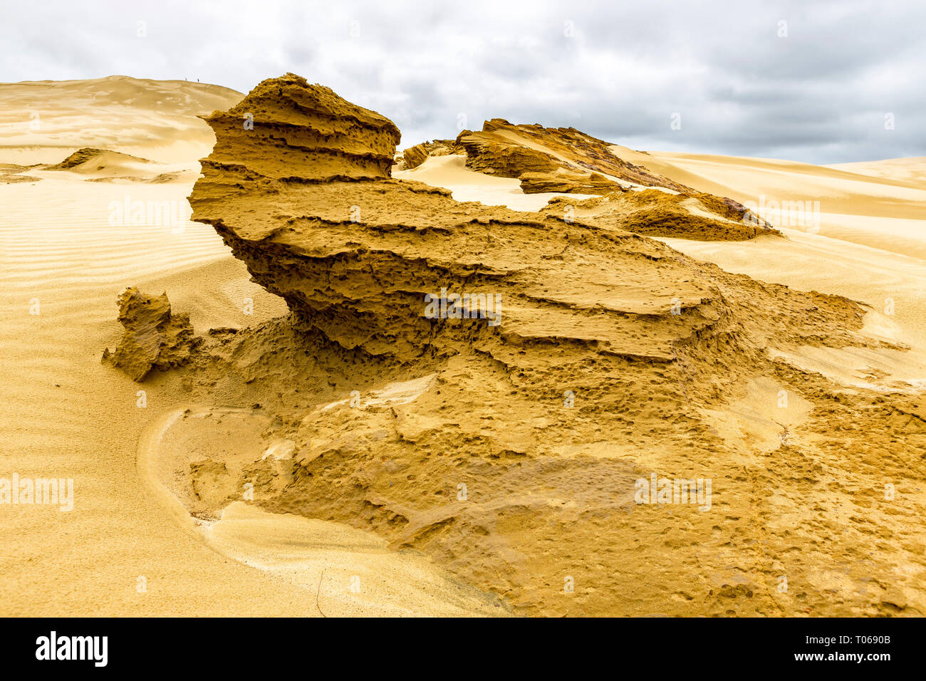 Sand Sculpture Giant sand dunes, Te Paki, Northland, North Island, New Zealand Stock Photo