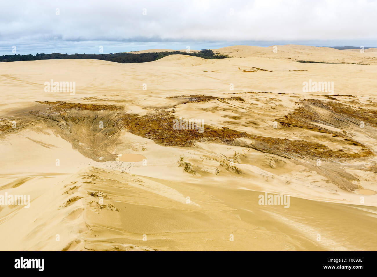 Foot Prints along Giant sand dunes, Te Paki, Northland, North Island, New Zealand Stock Photo