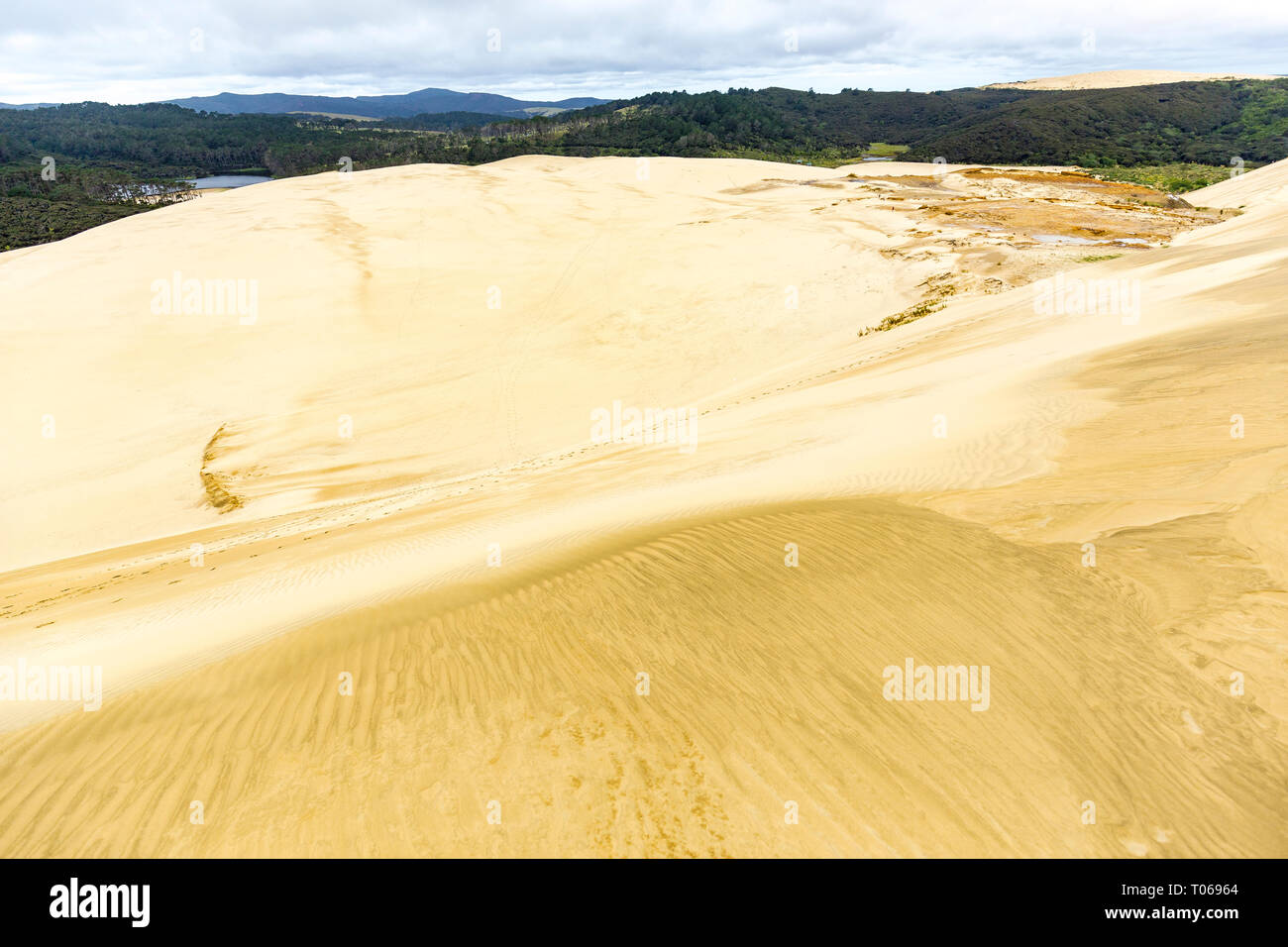 Giant sand dunes, Te Paki, Northland, North Island, New Zealand Stock Photo