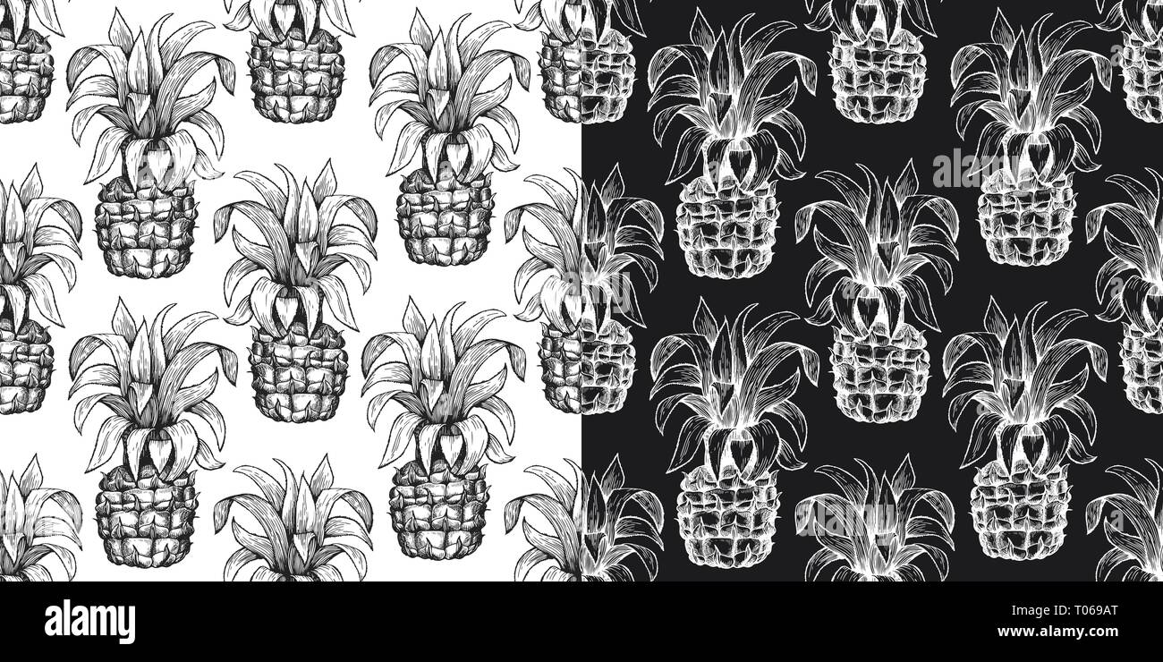 Pineapple seamless pattern. Hand drawn vector tropical fruit ...