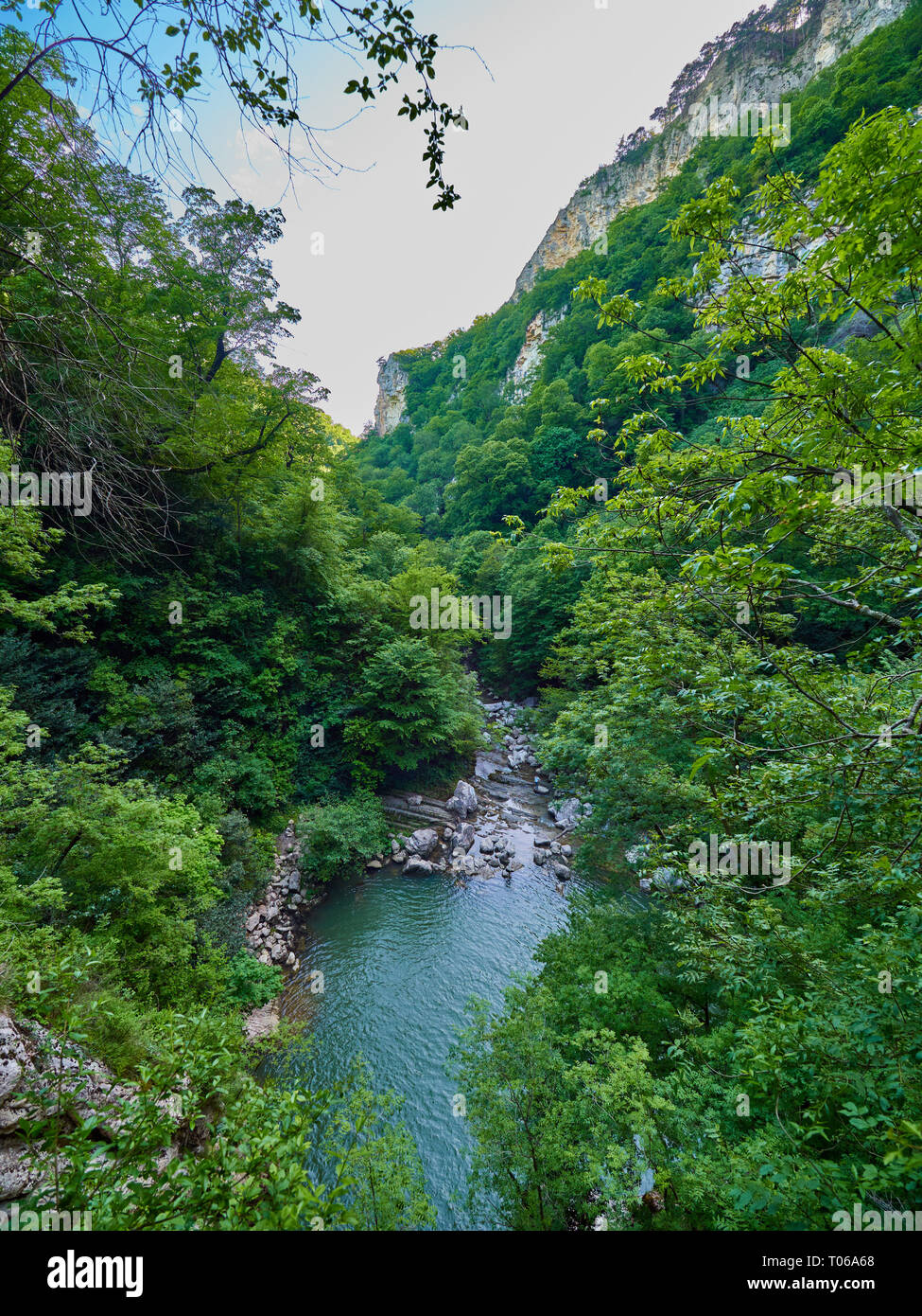 River flow through dense forest hi-res stock photography and images - Alamy