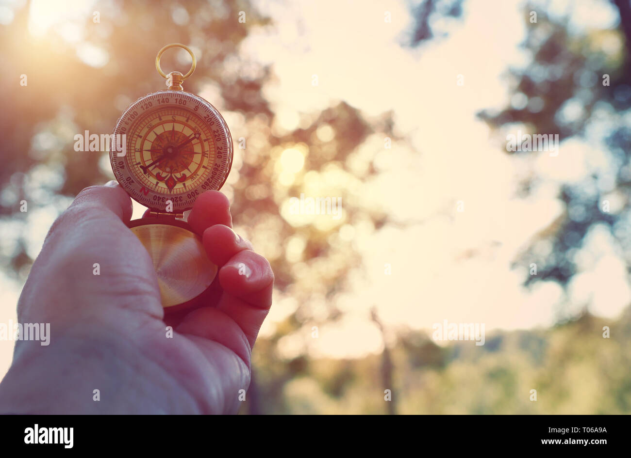 Male hand holding a compass during travel in the forest Stock Photo - Alamy