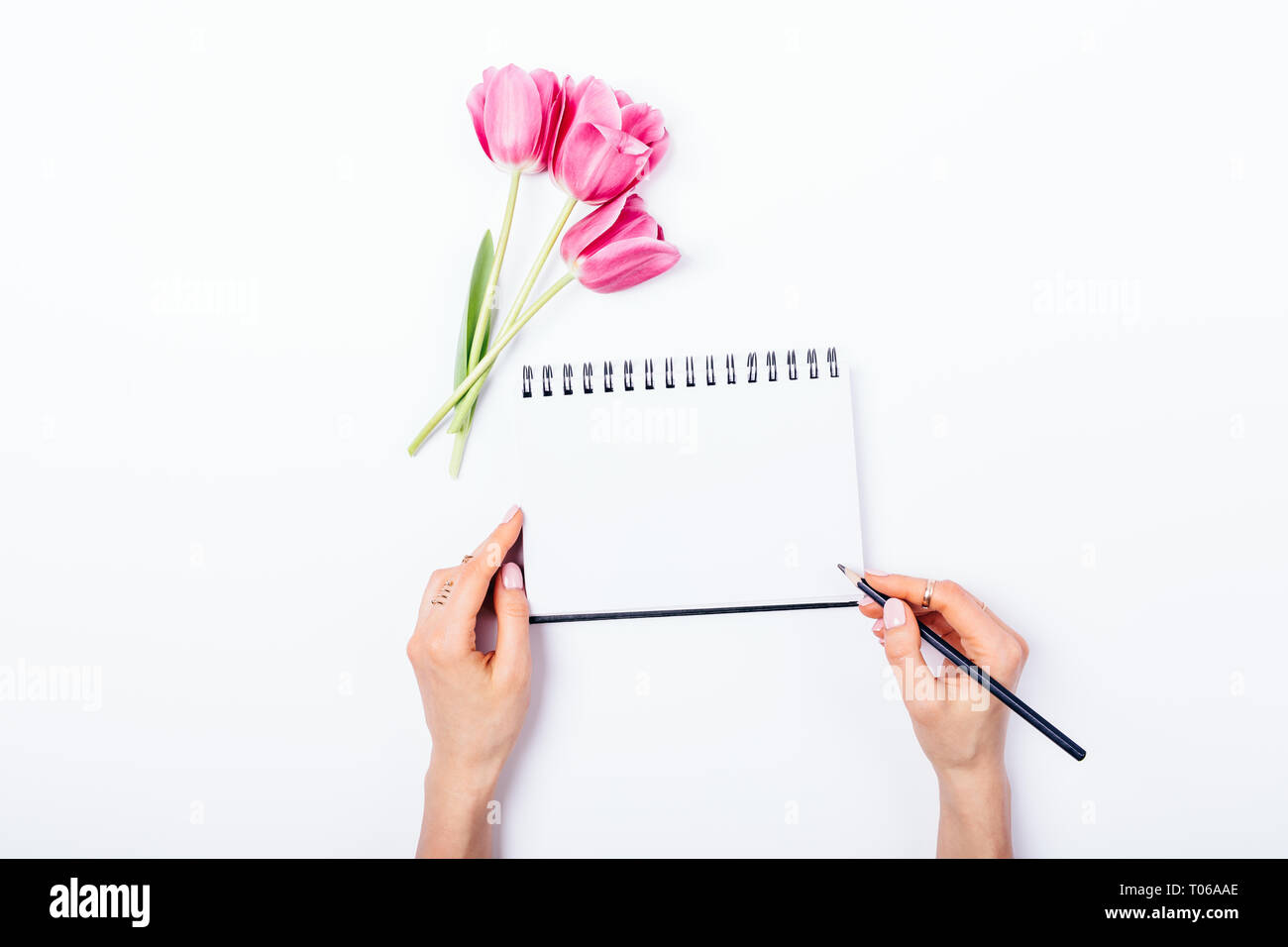 Top view female's hands writing in empty notebook next to bouquet of fresh pink tulips on white table, copy space. Stock Photo