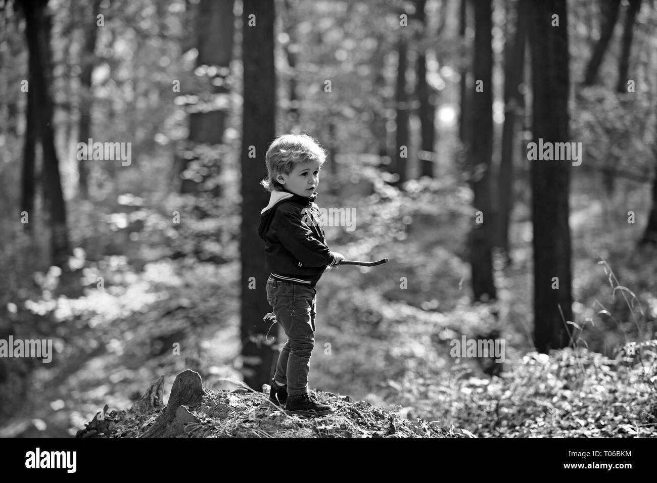 Child play on fresh air outdoor. Small boy play in autumn forest. Autumn vacation and camping