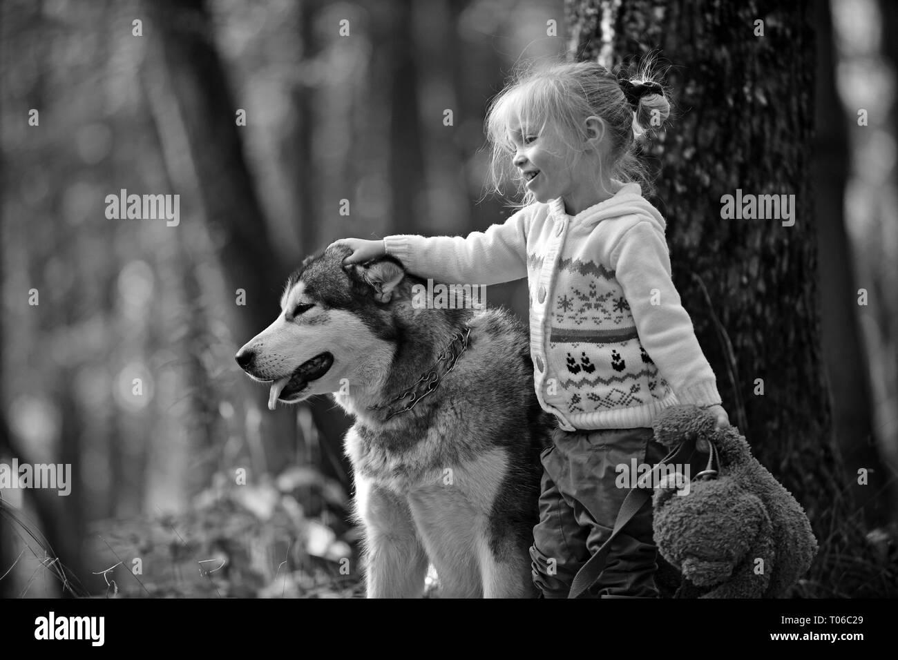 Happy little girl playing with big dog in garden Stock Photo - Alamy