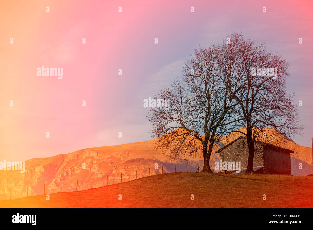 Dawn mountains and trees hi-res stock photography and images - Alamy