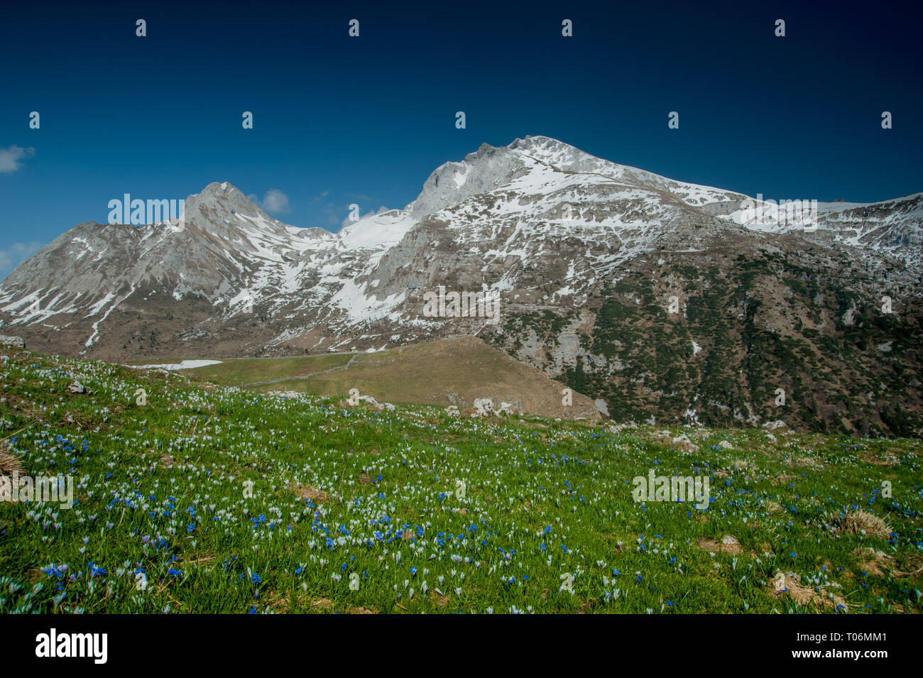 Spring Thaw Walk H d summit hi-res stock photography and images - Alamy