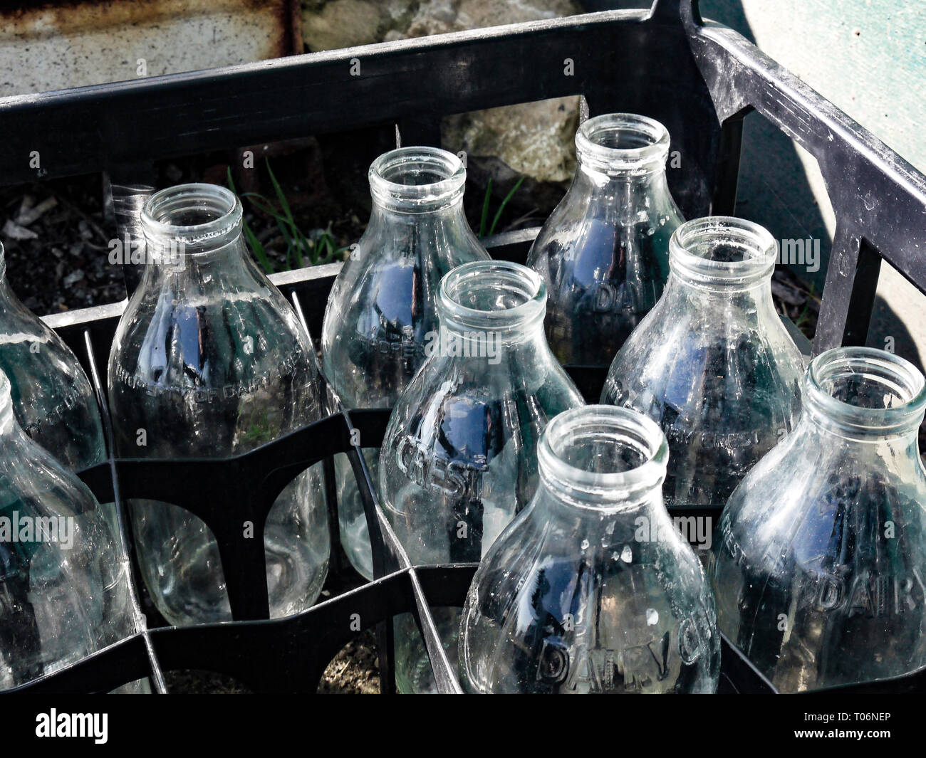 Empty glass milk bottles in a crate, UK Stock Photo