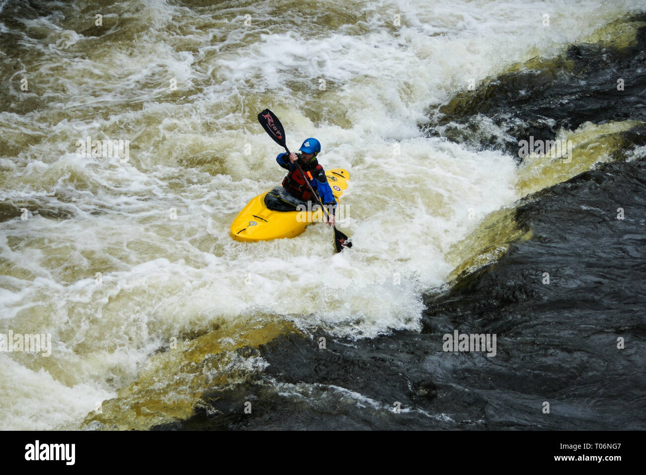 White water kayak on the river Dee at Llangollen, Wales UK Stock Photo