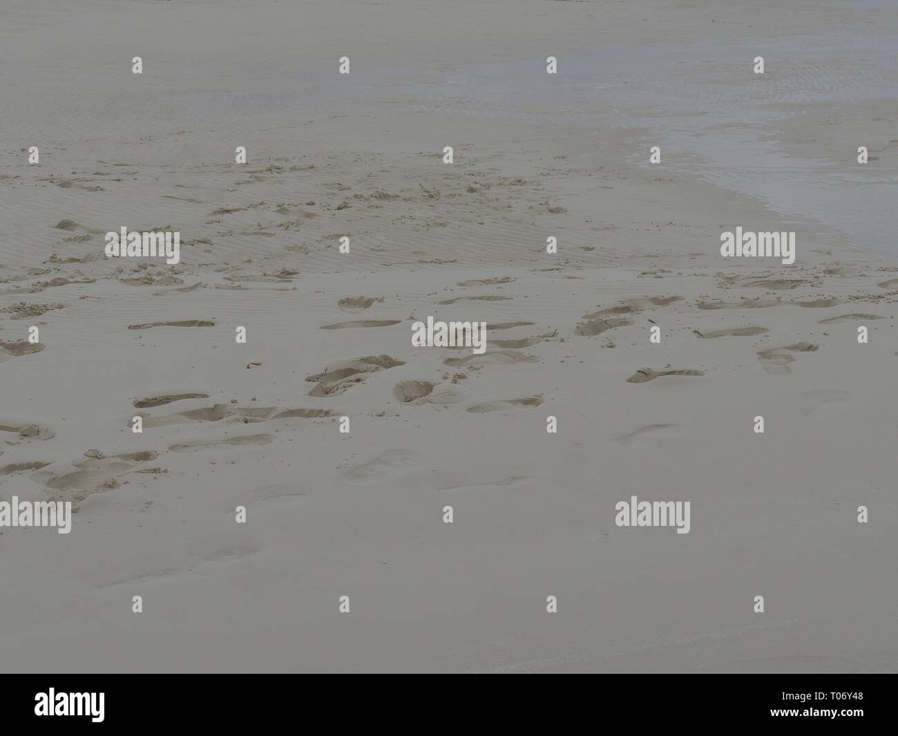 Different sets of footprints left in the soft white sand of a tropical