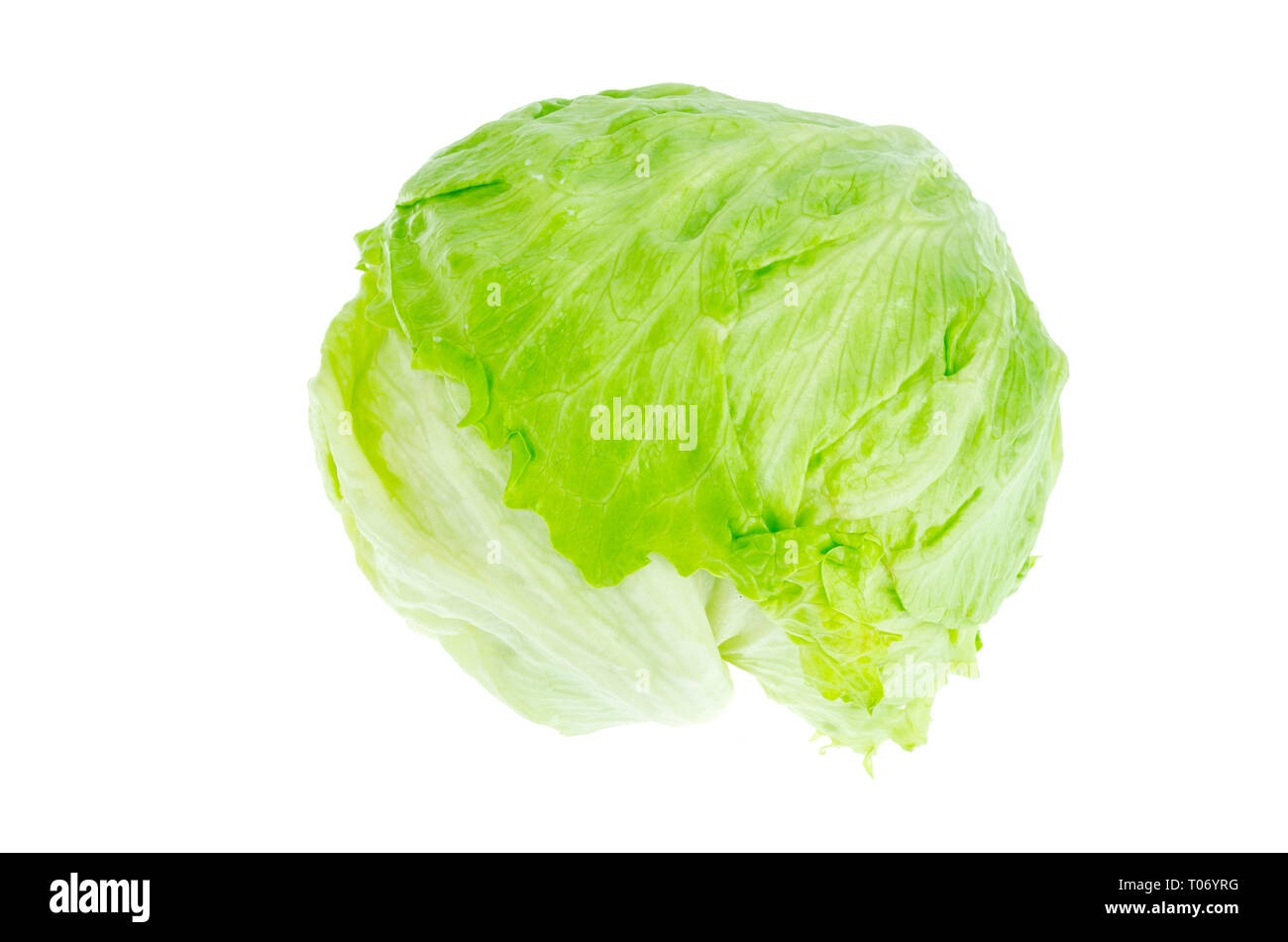 Iceberg lettuce head isolated on white background. Studio Photo Stock