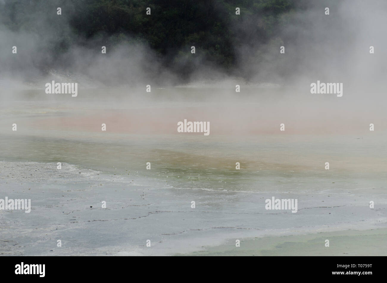 Geothermal steam, Steam from hot springs, Champagne Pool, Waiotapu Geothermal Wonderland, Rotorua, North Island, New Zealand Stock Photo