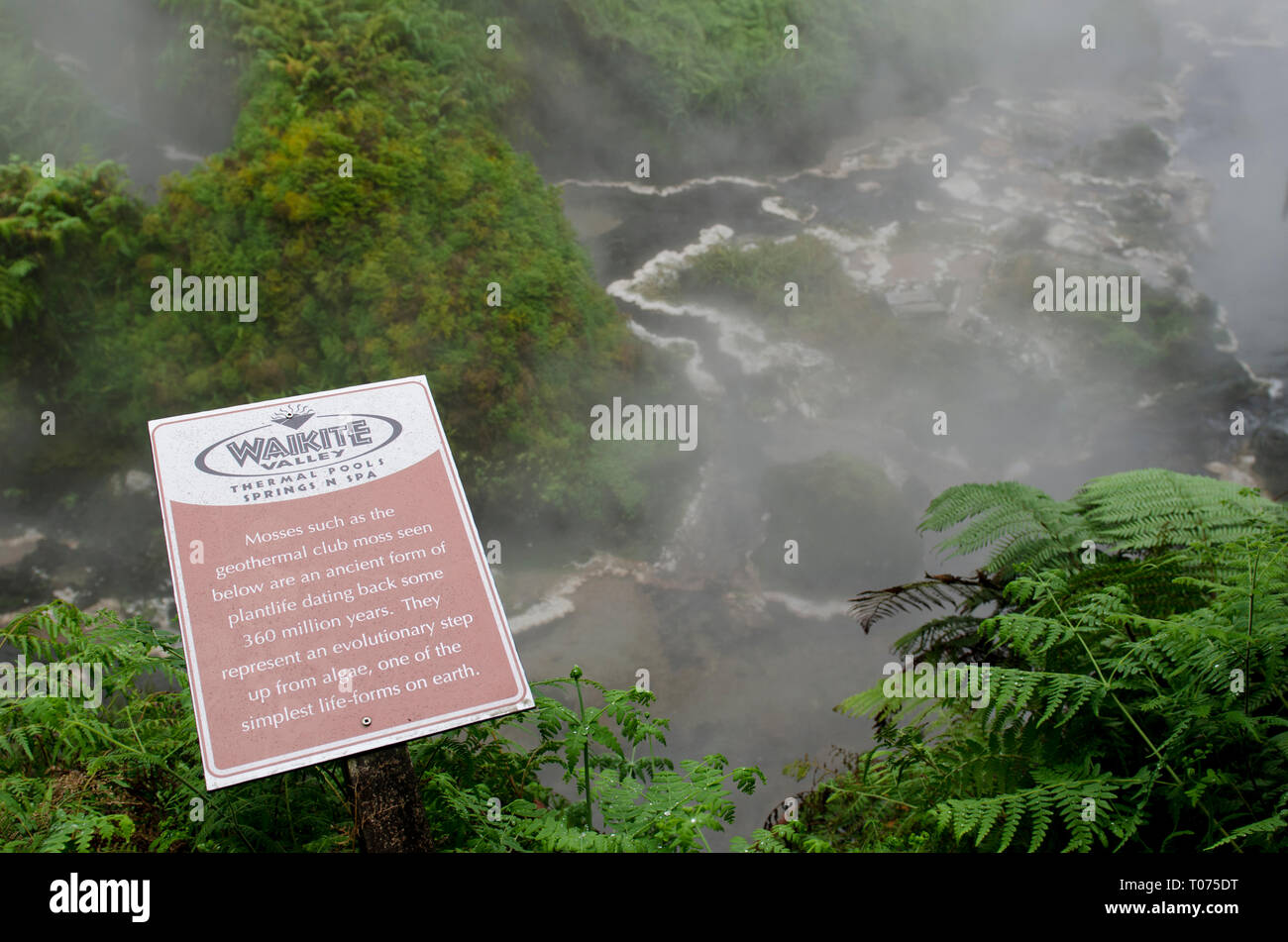 Hot Spring Sign Pools sign hi-res stock photography and images - Alamy