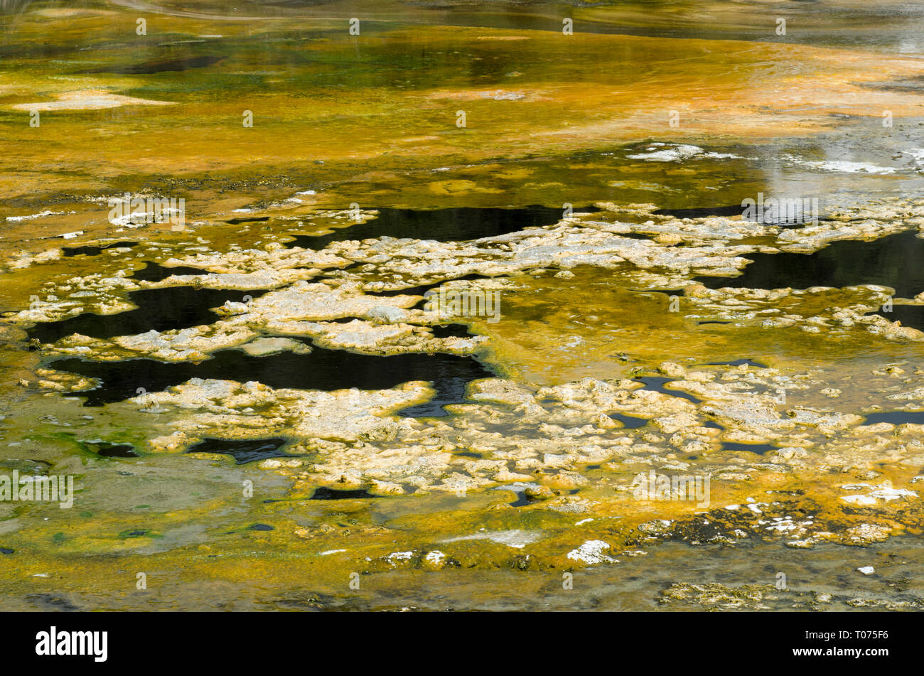 Colourful Terrace, Mineral and algae deposits from sintering from hot springs, Emerald Terrace, Orakei Korako Cave and Thermal Park, Rotorua Stock Photo