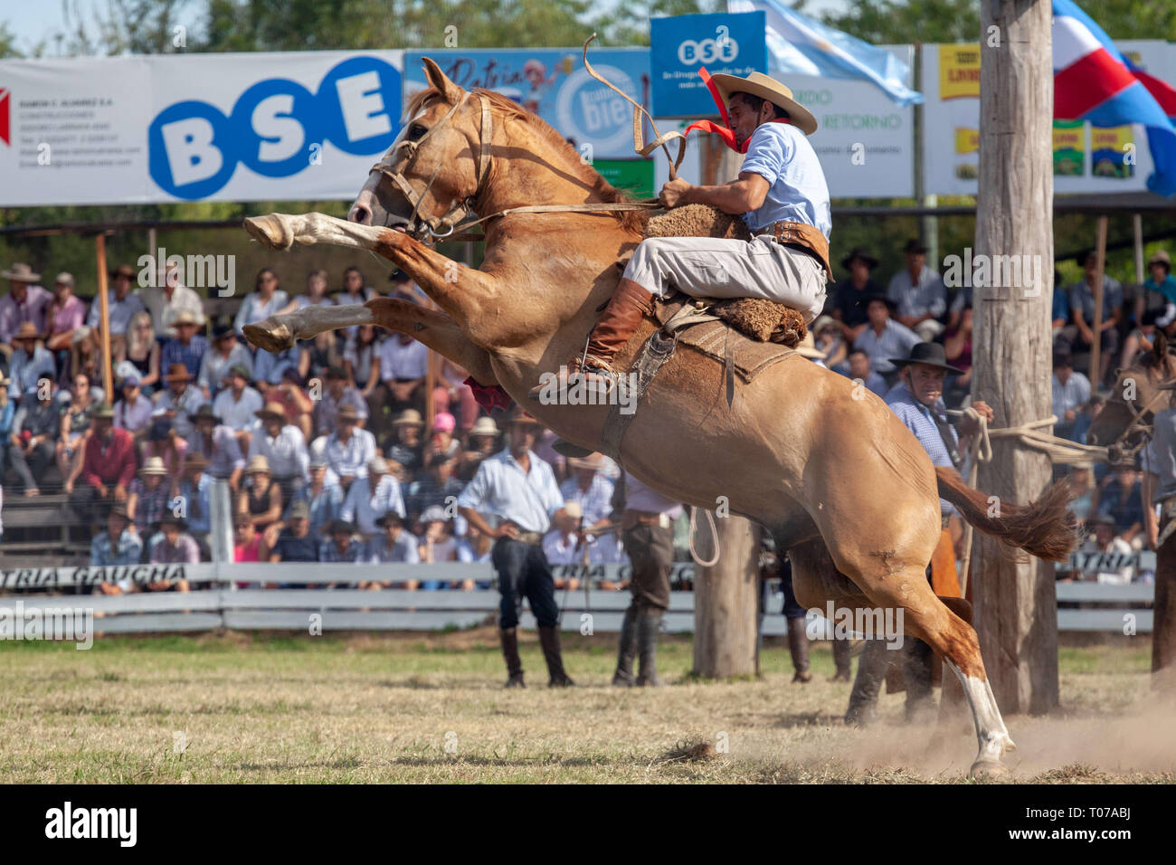 Tacuarembo, Uruguay. 16th Mar, 2019. A Gaucho (Cowboy) seen riding a ...