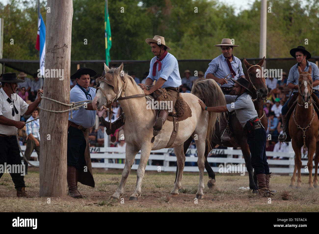 Tacuarembo, Uruguay. 16th Mar, 2019. A Gaucho (Cowboy) seen riding a ...