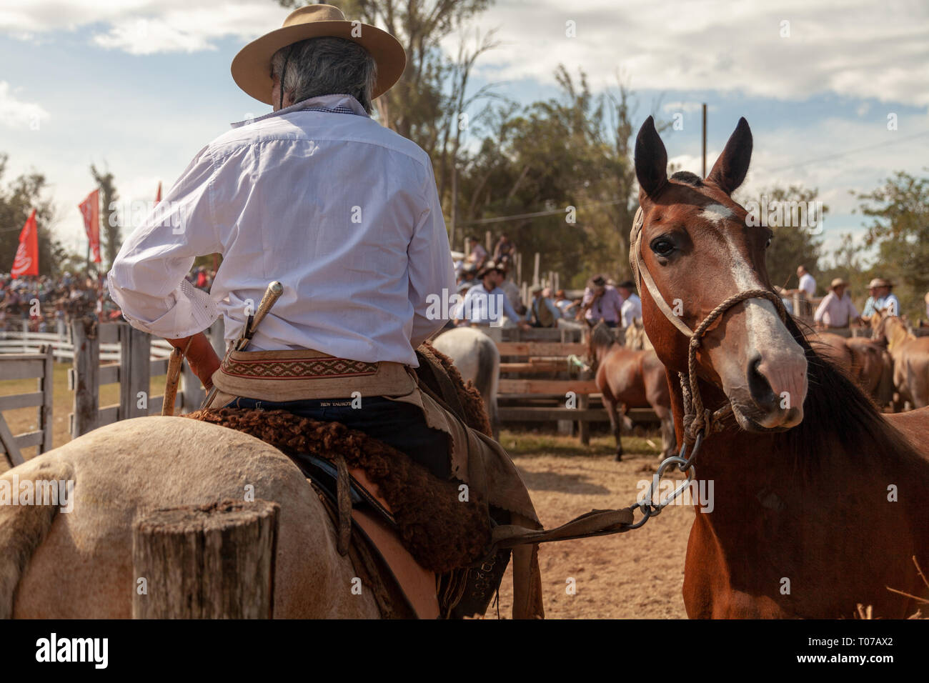 A Gaucho (Cowboy) seen holding a horse during the