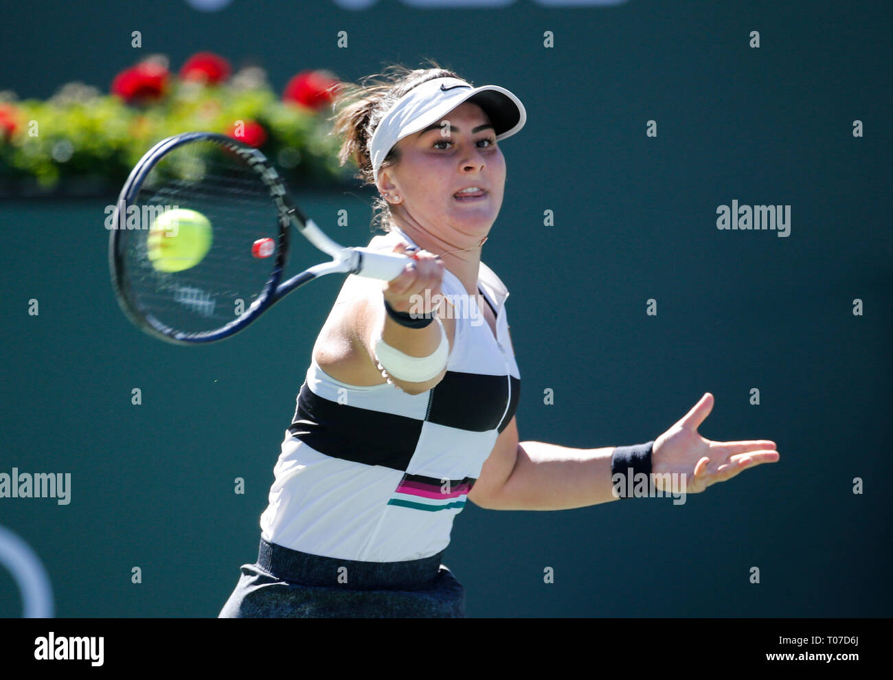 Bianca andreescu bnp open hi-res stock photography and images - Alamy