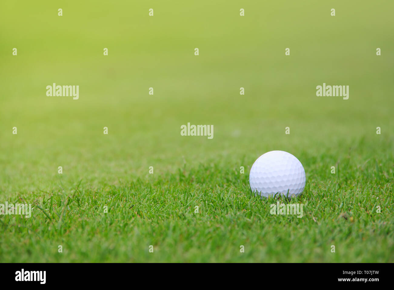 Golf ball on green grass of course close-up view Stock Photo