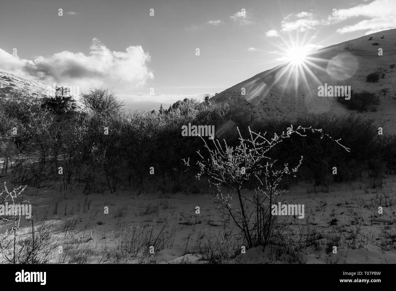 Subasio mountain (Umbria, Italy) in winter, covered by snow, with plants and sun Stock Photo