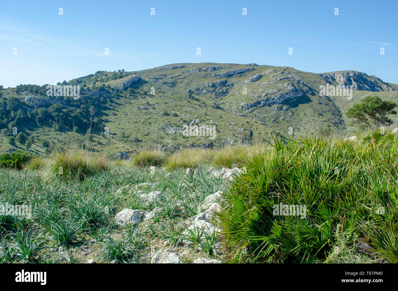 Sa galera hi-res stock photography and images - Alamy