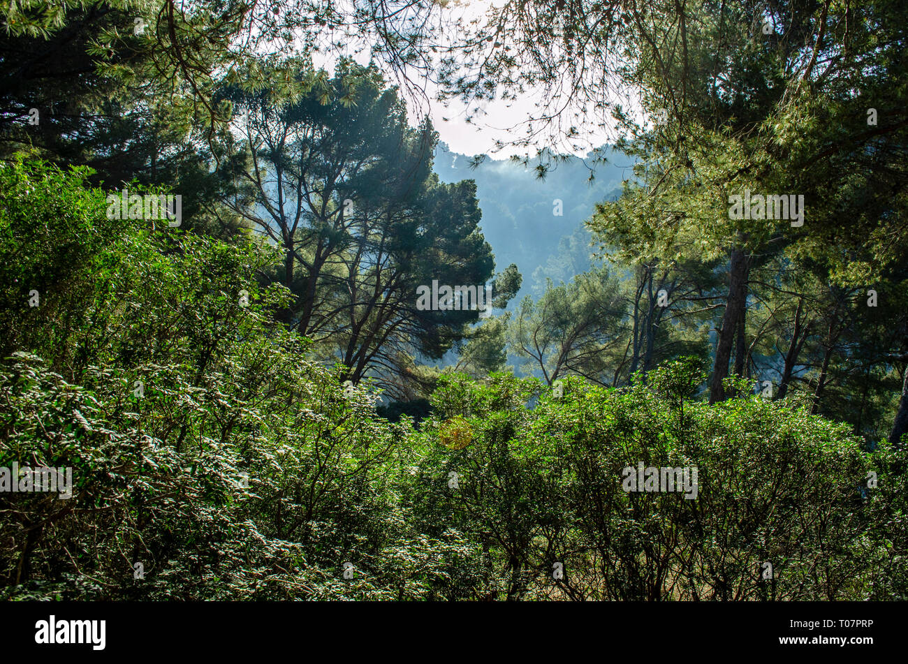 Mirador de la ermita hi-res stock photography and images - Alamy