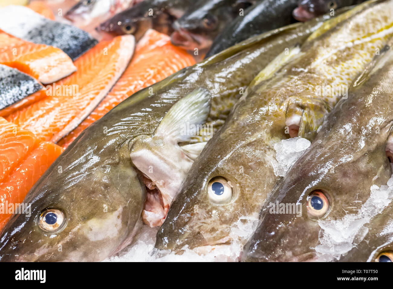 Fresh cod and salmon on ice for sale at Billingsgate Fish Market in Poplar in London Stock Photo