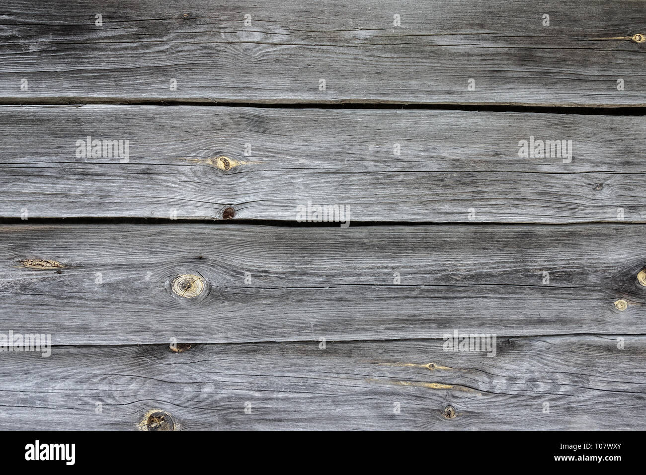 texture of bark wood use as natural background Stock Photo - Alamy