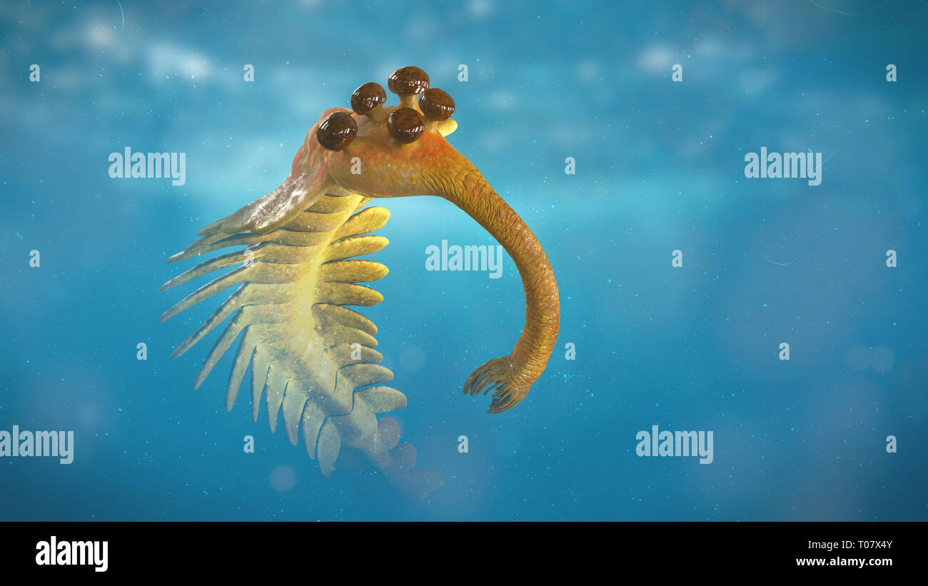 swimming Opabinia regalis, prehistoric aquatic animal from the Cambrian Period (3d science render) Stock Photo