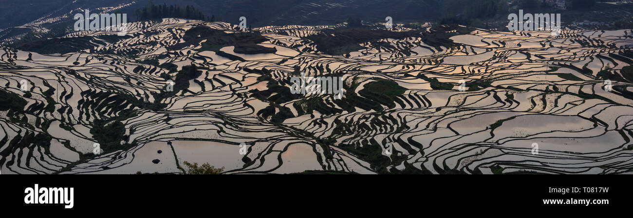 Sunrise over rice terraces in Yuanyang with beautiful reflections in Yunnan Stock Photo