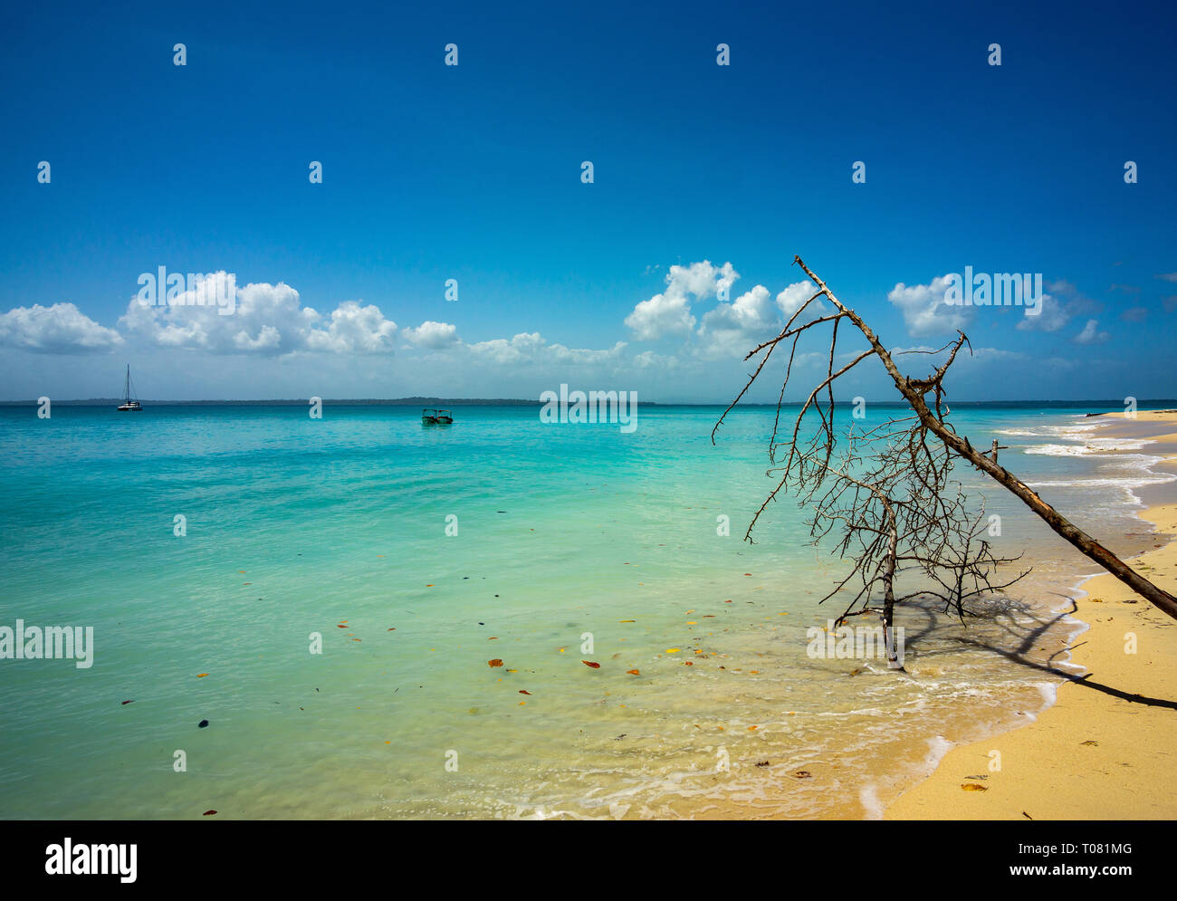 Bocas del Toro Strand Panama Beach Zapatilla Island Stock Photo